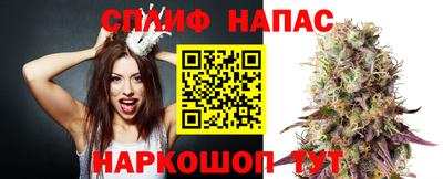 сатива Можга