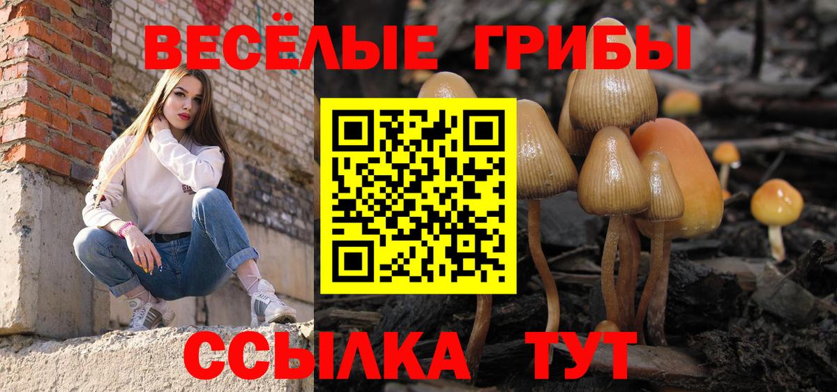 Галлюциногенные грибы Psilocybine cubensis Усинск